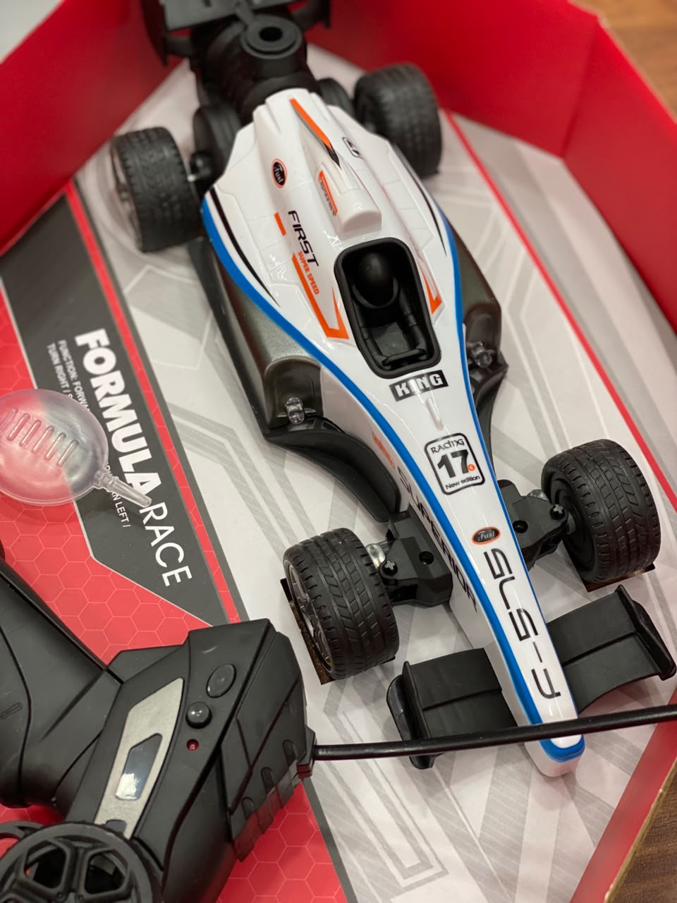 F1 RACING RC