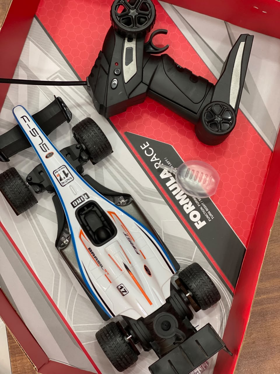 F1 RACING RC